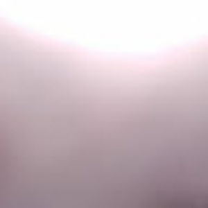 Meet your Posher, Bonnie